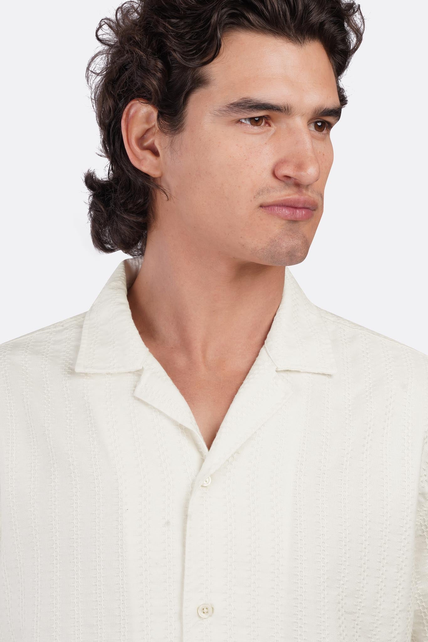 Striped Shibeka Half-Sleeve Shirt