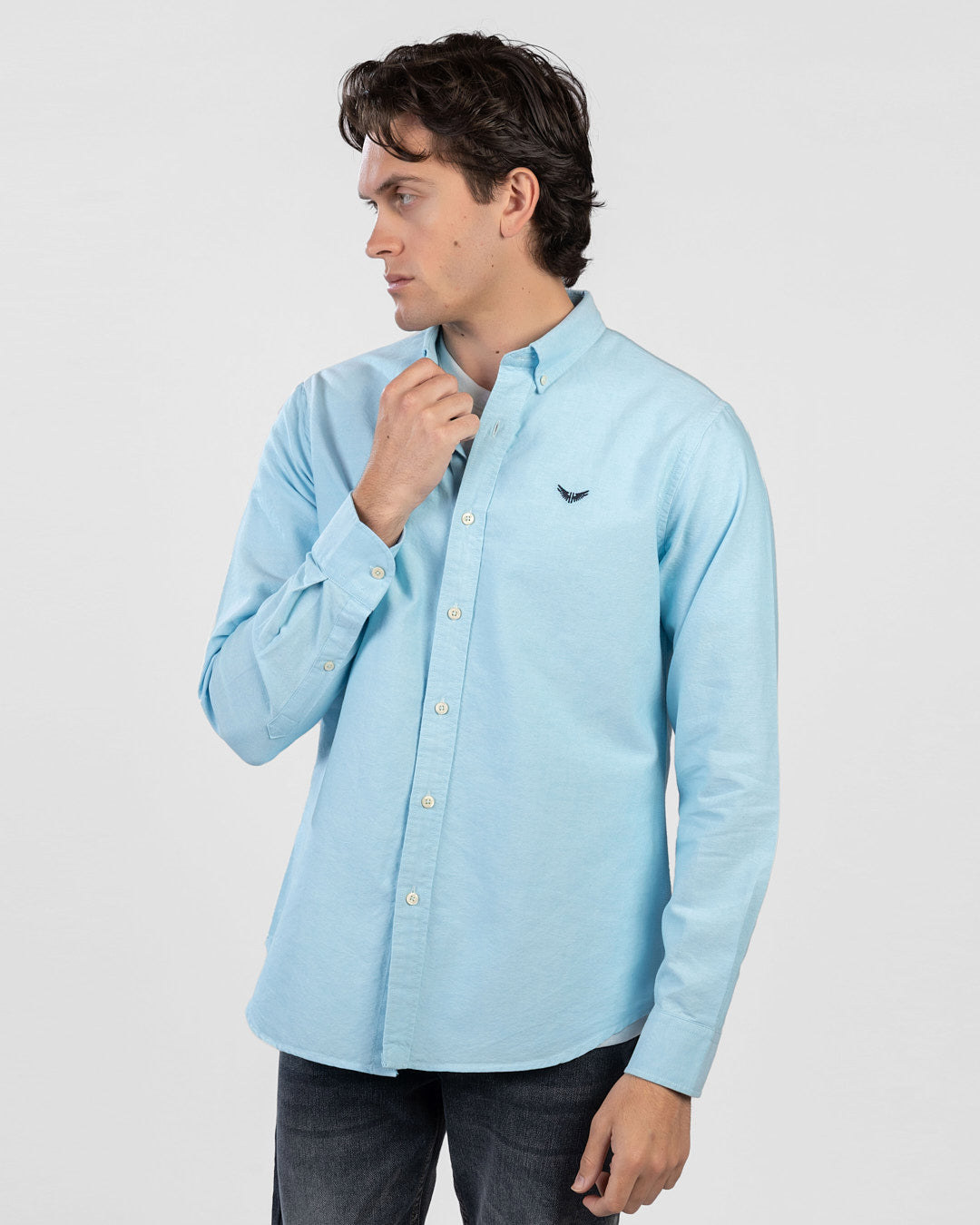 Essential Oxford Long Sleeve Shirt