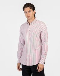 Striped Oxford Long Sleeve Shirt