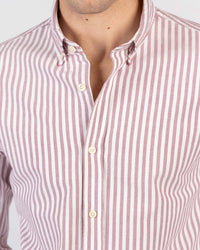 Striped Oxford Long Sleeve Shirt