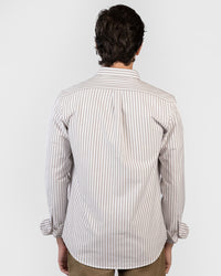 Striped Oxford Long Sleeve Shirt