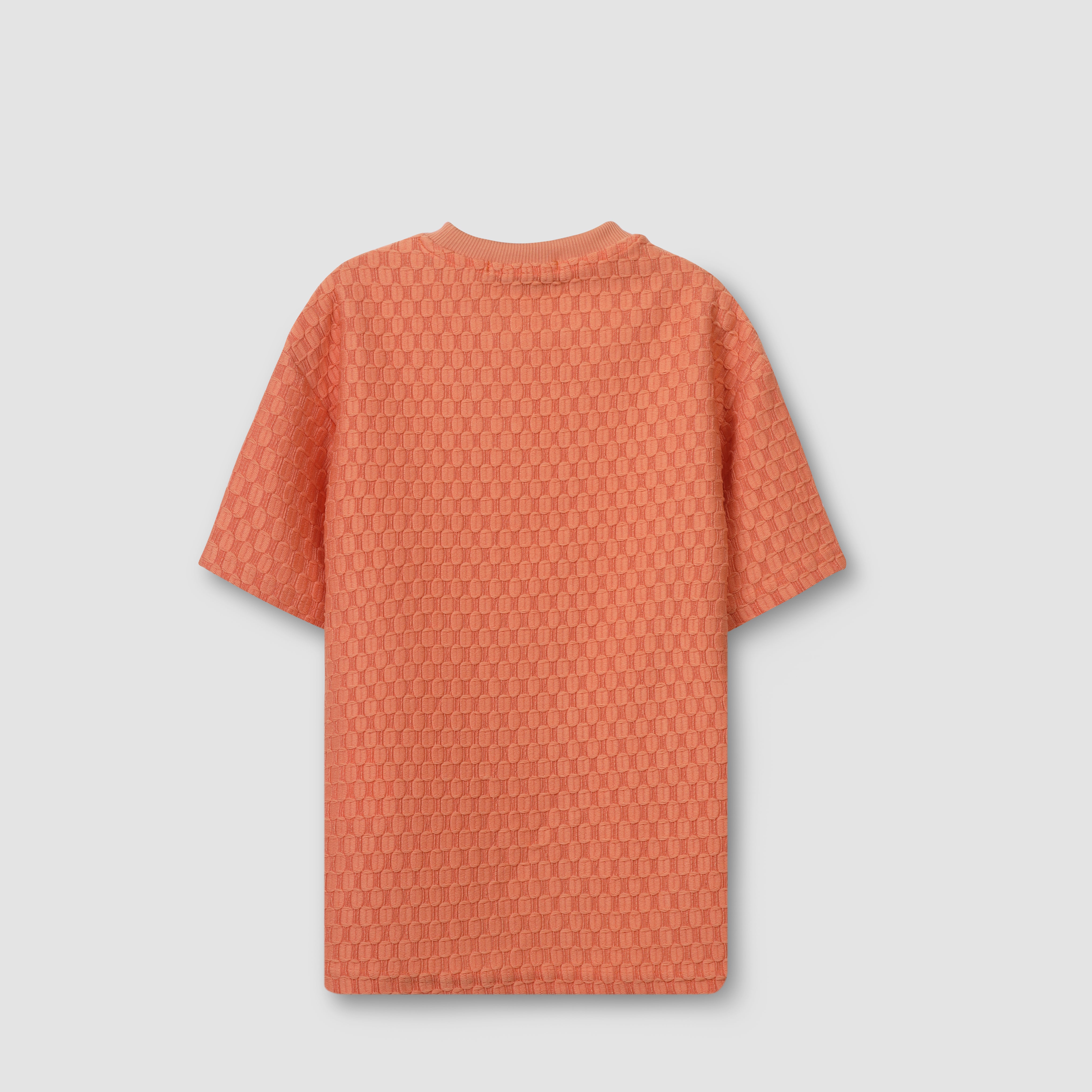 Kids T-shirt basic cotton TSH/ 25133