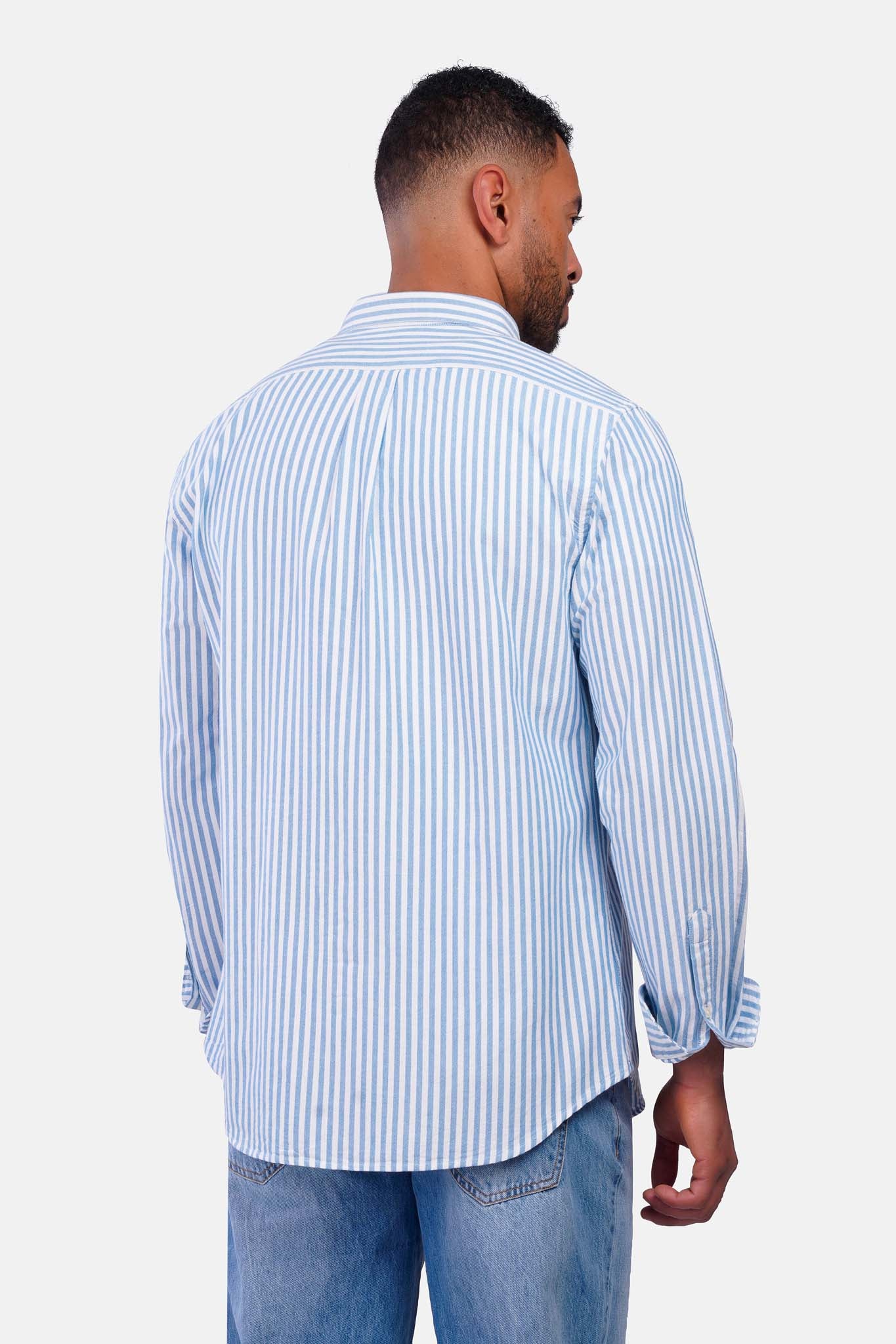 Striped Oxford Long Sleeve Shirt